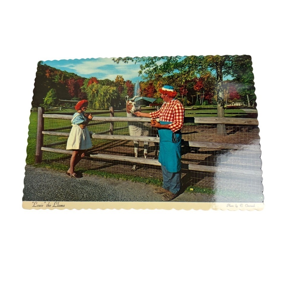 Vintage 1971 Sterling Forest Postcard Raggedy Ann Andy Louie Llama Tuxedo